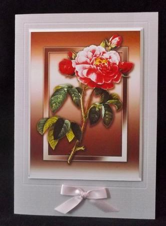 Red Roses Quick Card by Suzi Cooper