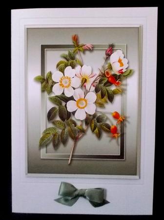 Dog Roses Quick Card by Suzi Cooper