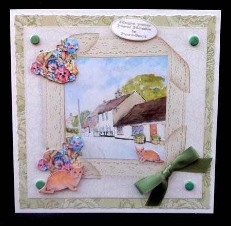 Cats New Home by Suzi Cooper