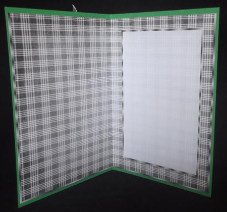 Charcoal Grey Plaid Insert, with Border by Suzi Cooper