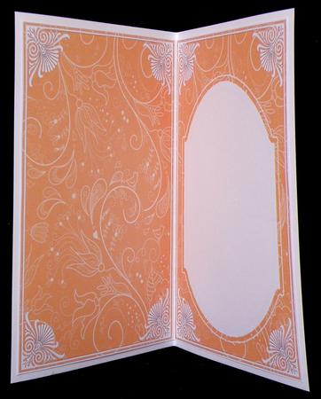 Borange Little Birdy Fashion Base 7x5in Folded Insert by Suzi Cooper