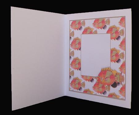 Lets Fish Insert by Suzi Cooper
