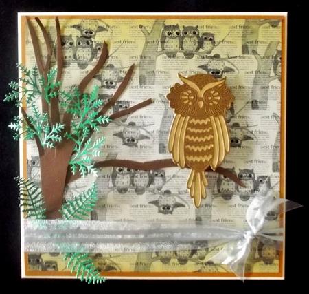 Owl Best Friend Backing by Suzi Cooper