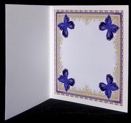 Butterflies Large Blank Square Insert 2 by Suzi Cooper