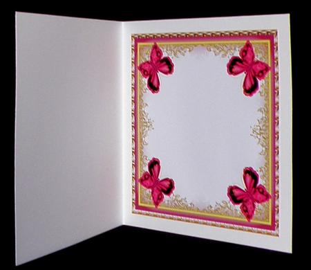 Butterflies Large Blank Square Insert 4 by Suzi Cooper