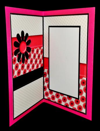 Fun Flower Any Occasion Blank Insert by Suzi Cooper