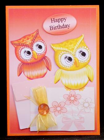 Owls Duo by Suzi Cooper