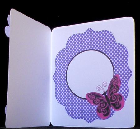 Butterfly Insert by Suzi Cooper