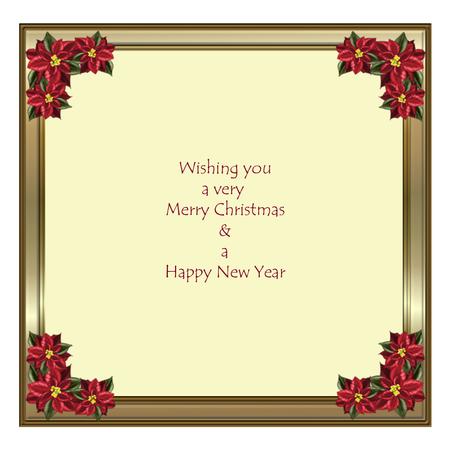 Poinsettia 8x8ins Insert 2 by Suzi Cooper