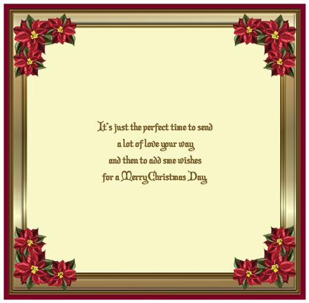 Poinsettia 8x8ins Insert 1 by Suzi Cooper