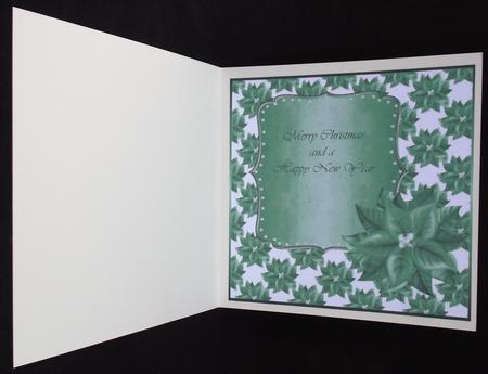 Poinsettia Green 4 by Suzi Cooper