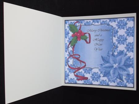 Poinsettia 5 Insert by Suzi Cooper