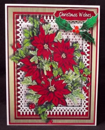 Beautiful Poinsettias on Lace  by Suzi Cooper