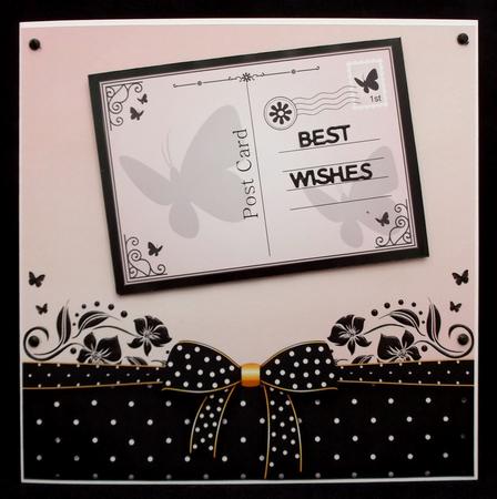 Bow Papers by Suzi Cooper