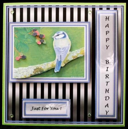 6 x 6 Blue Tit & Blackberries - Decoupage Card Topper by Suzi Cooper