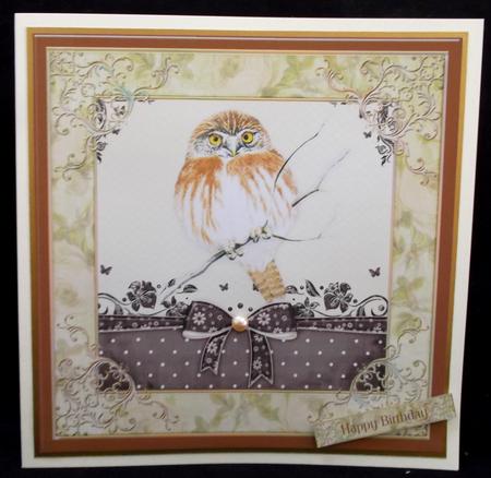 Cute Owl by Suzi Cooper