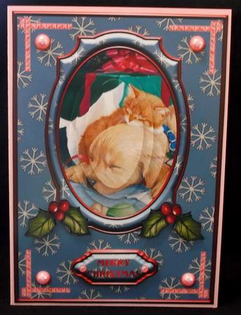 Christmas Pets Card Front by Suzi Cooper