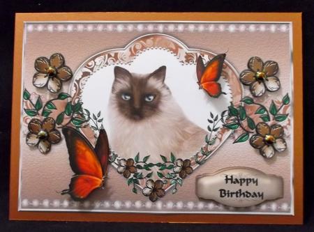 My Best Friend by Suzi Cooper