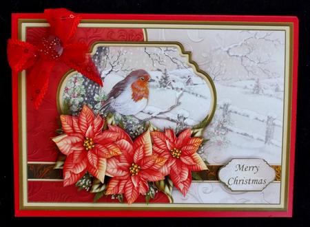 Winter Robin & Poinsettia Christmas Card Topper & Decoupage by Suzi Cooper