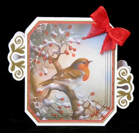 Red Robin Fancy Emerald Decoupage Card Mini Kit by Suzi Cooper