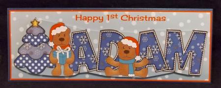 First Christmas Teddies Adam Large Dl by Suzi Cooper