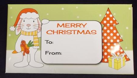 Christmas Bunny Money Wallet by Suzi Cooper