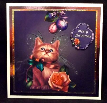 The Sugar Plum Fairy by Suzi Cooper