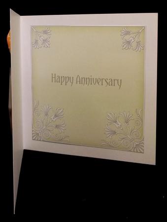 Cream 7in Ornate Lace Tag Matching Insert Panel by Suzi Cooper