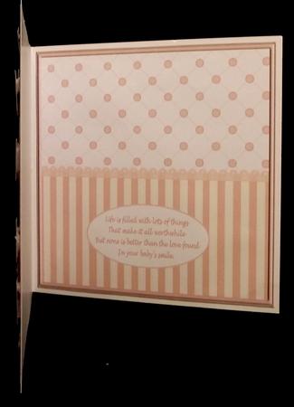 Baby Pink Insert by Suzi Cooper