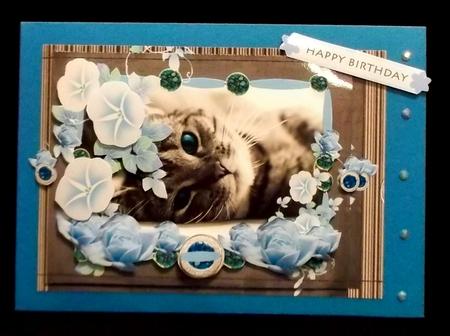 Blue Eyed Beauty - Cat Mini Kit by Suzi Cooper