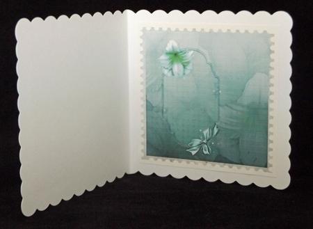 Amyrillis and Shoes Insert by Suzi Cooper