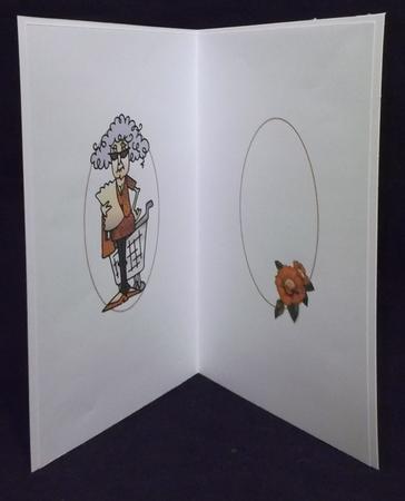 Stella Has a Discounted Friend Insert by Suzi Cooper