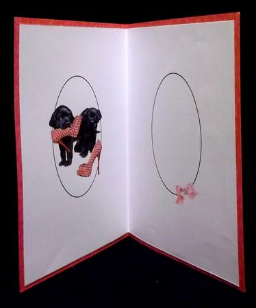 If the Shoe Fits Insert by Suzi Cooper