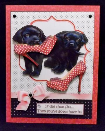 If the Shoe Fits by Suzi Cooper