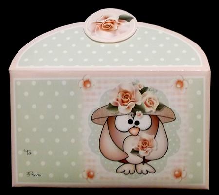 Mother Owl Money Wallet by Suzi Cooper