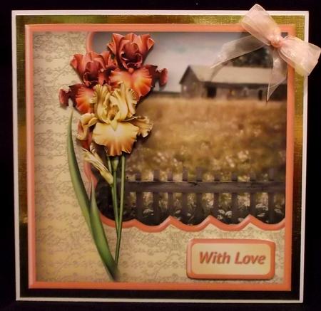 Summer Irises Card Front by Suzi Cooper