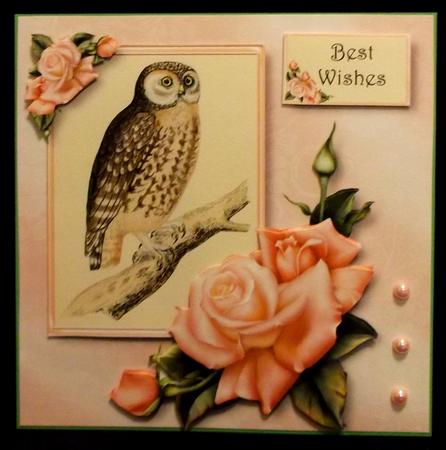 Gorgeous Owl & Edwardian Roses Mini Kit by Suzi Cooper