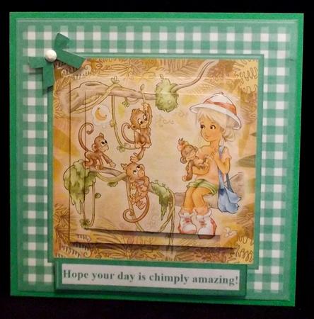 Hope Your Day is Chimply Amazing Gingham Topper & Pyramage by Suzi Cooper