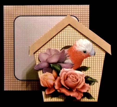 Birdhouse Collection 3 by Suzi Cooper