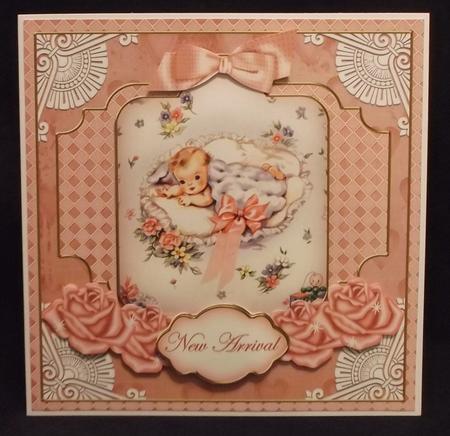 Baby Girl New Arrival Special 8in Tag N' Envelope Kit by Suzi Cooper