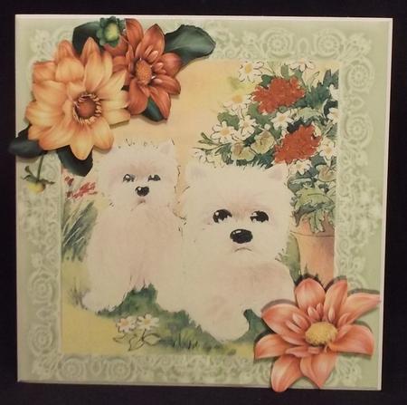 Westies in the Garden with Pretty Corner Flowers 8x8 by Suzi Cooper