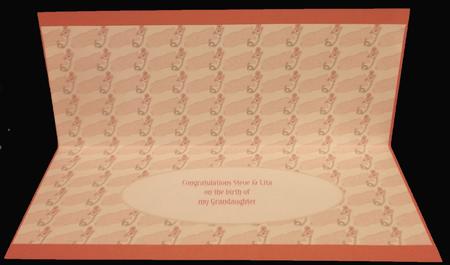 Dl Birth of My Grandaughter Insert by Suzi Cooper