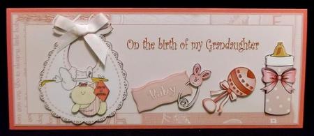 Dl Birth of My Grandaughter by Suzi Cooper