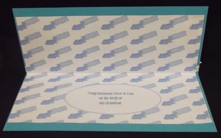 Dl Birth of My Grandson Insert by Suzi Cooper