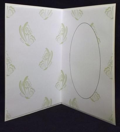 Butterfly Embellishment Green Insert by Suzi Cooper