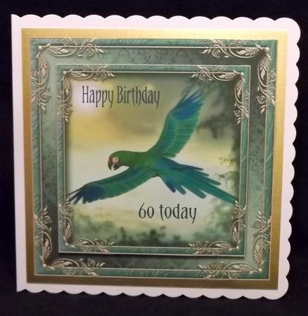 Take Flight by Suzi Cooper