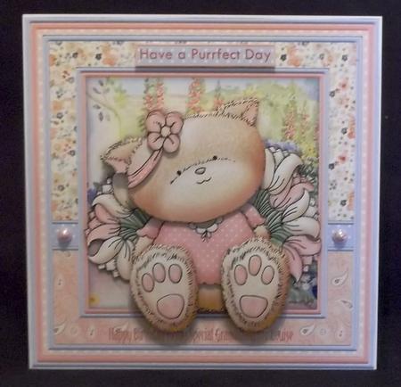 Scruffy Kitty 8x8 Mini Kit & Decoupage by Suzi Cooper