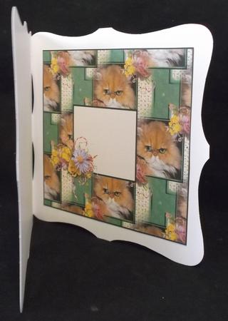 Mr Grumpy Insert by Suzi Cooper