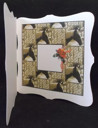 The Horse Insert by Suzi Cooper