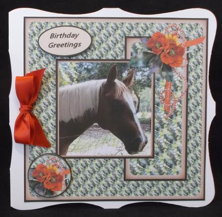The Horse by Suzi Cooper